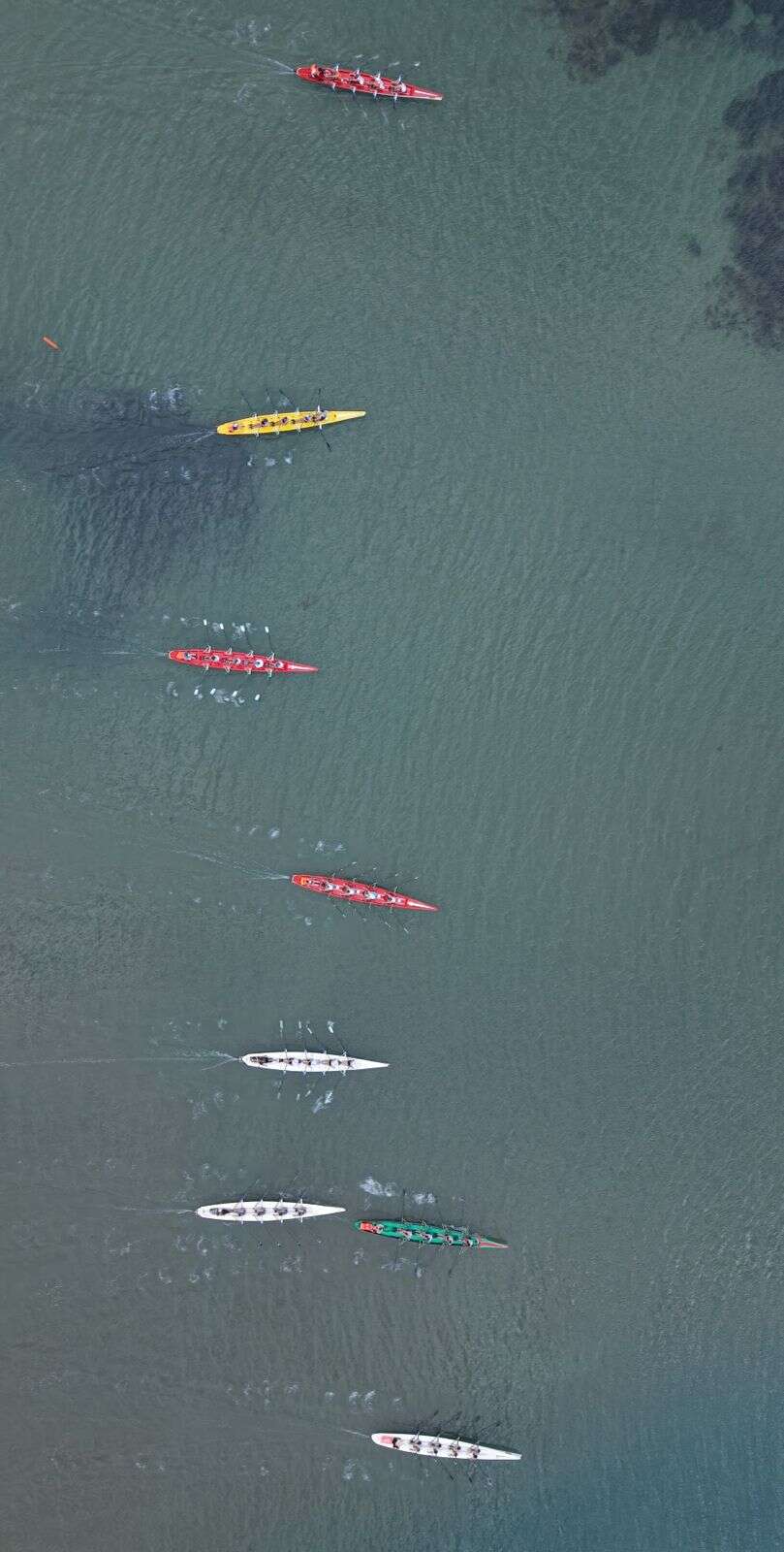 Fethiye, Ege Kupası’ndan 45 Madalya ve  İki Kupayla Döndü 11